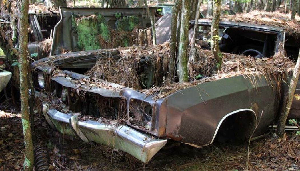 Old Car City U.S.A. Is Part Graveyard, Part Playground for Fans of Abandoned Classic Cars