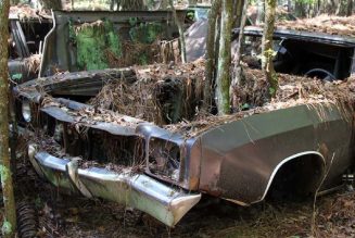 Old Car City U.S.A. Is Part Graveyard, Part Playground for Fans of Abandoned Classic Cars