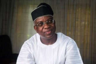 Oyo deputy governor empowers 500 youths with farmland