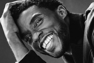 R.I.P. Chadwick Boseman, Black Panther Actor Dies at 43