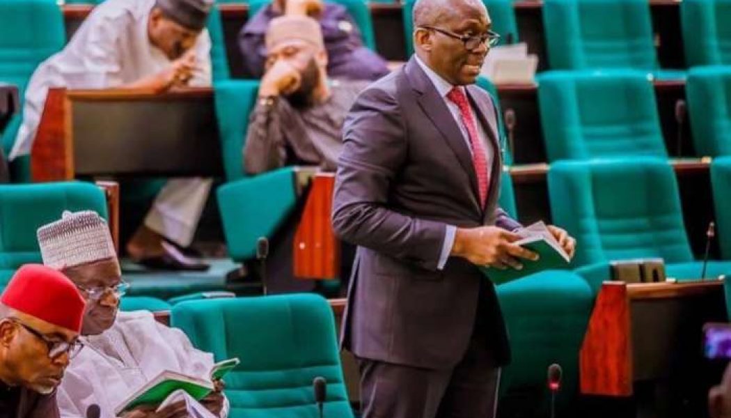 Rep Elumelu: Opposition lawmakers leading anti-corruption investigations
