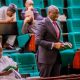 Rep Elumelu: Opposition lawmakers leading anti-corruption investigations
