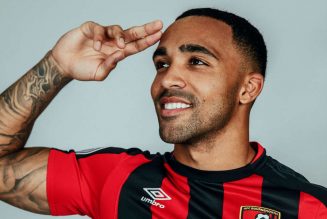 Report: Fulham looking to beat Spurs & EPL trio to signature of England international