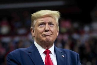 Republicans formally nominate Donald Trump for second term