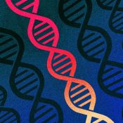 Scientists rename human genes to stop Microsoft Excel from misreading them as dates