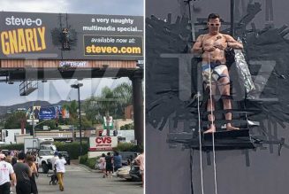 Steve-O Duct-Tapes Himself to Billboard to Promote New Special Gnarly