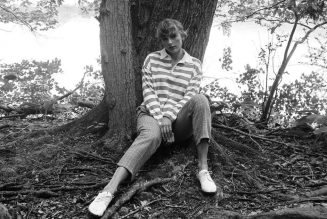 Taylor Swift Releases folklore Bonus Track “the lakes”: Stream