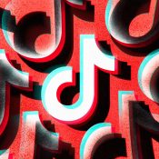 TikTok discussions at the White House reportedly turned into a brawl between Trump advisors