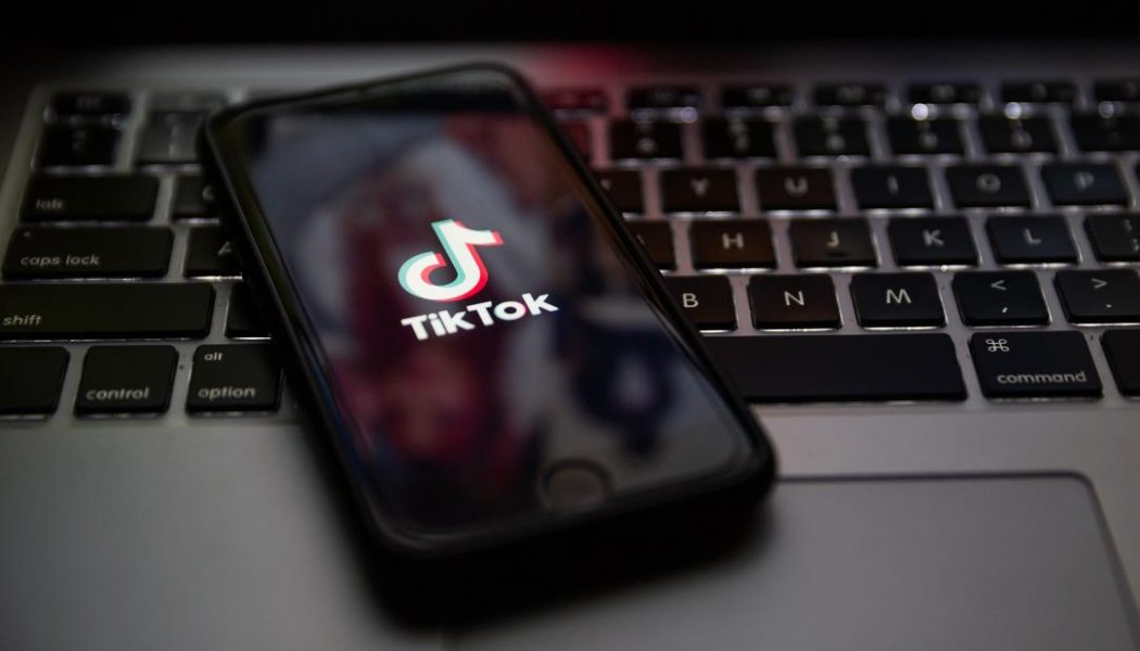 TikTok to Challenge Ban by Trump Administration