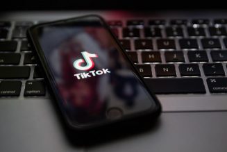 TikTok to Challenge Ban by Trump Administration