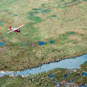 Trump administration approves opening Arctic refuge for drilling