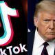 Trump Signs Executive Order to Ban Business with TikTok