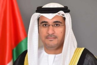 UAE donates 7.5 tonnes of medical supplies to Nigeria