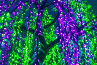 Ubbi Dubbi Announces 2021 Lineup, Cancellation of Joint Festival with Freaky Deaky