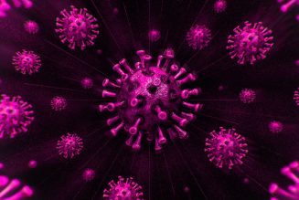 US passes 5 million coronavirus cases