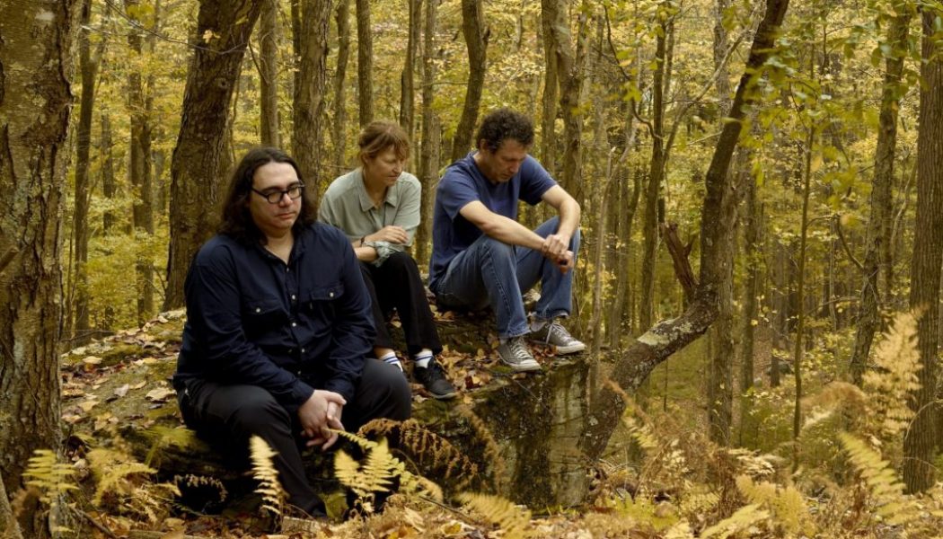 Yo La Tengo Share Cover of the Byrds’ ‘Wasn’t Born To Follow,’ Announce New EP