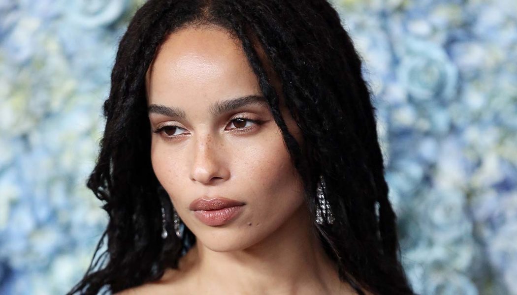 Zoe Kravitz Calls Out Hulu for Not Having Enough Shows Starring Women of Color