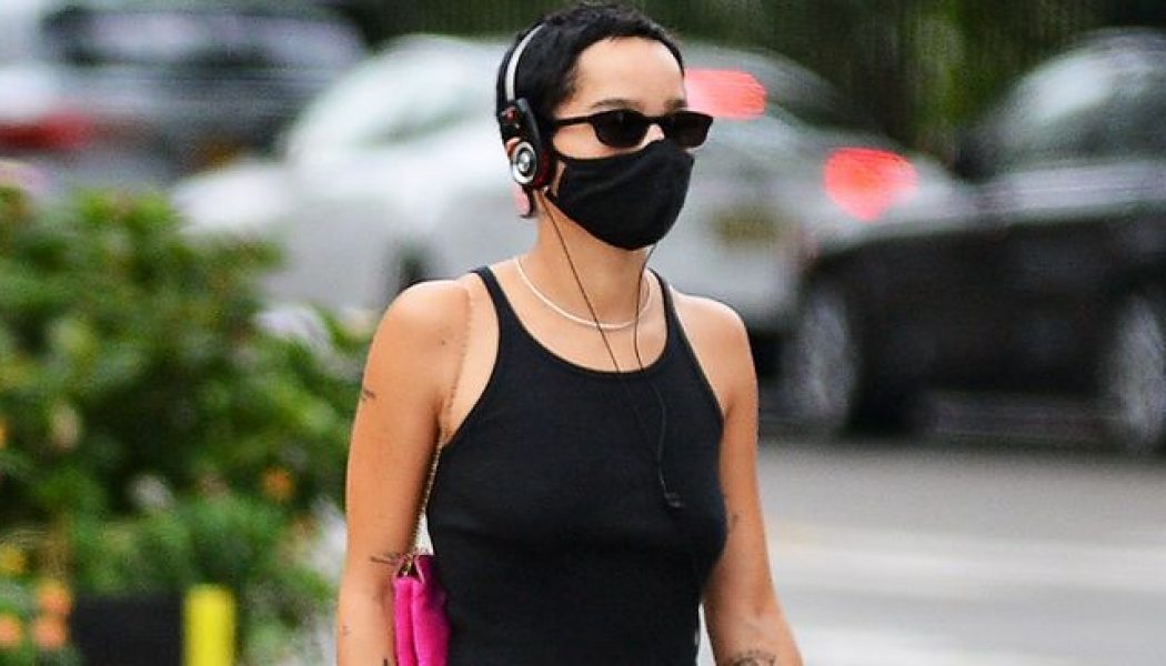 7 Ways Celebrities Are Styling 2020’s Most Important Accessory