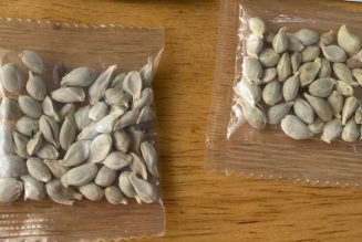 Amazon bars foreign sales of plants to the US following deliveries of mystery seeds