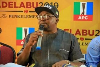 Bayo Adelabu: No governor should flaunt payment of salary as achievements