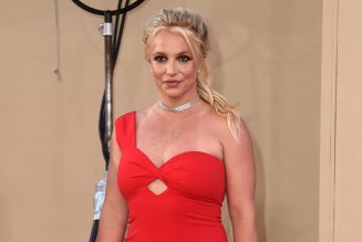 Britney Spears Shows Love For #FreeBritney In Court Filing
