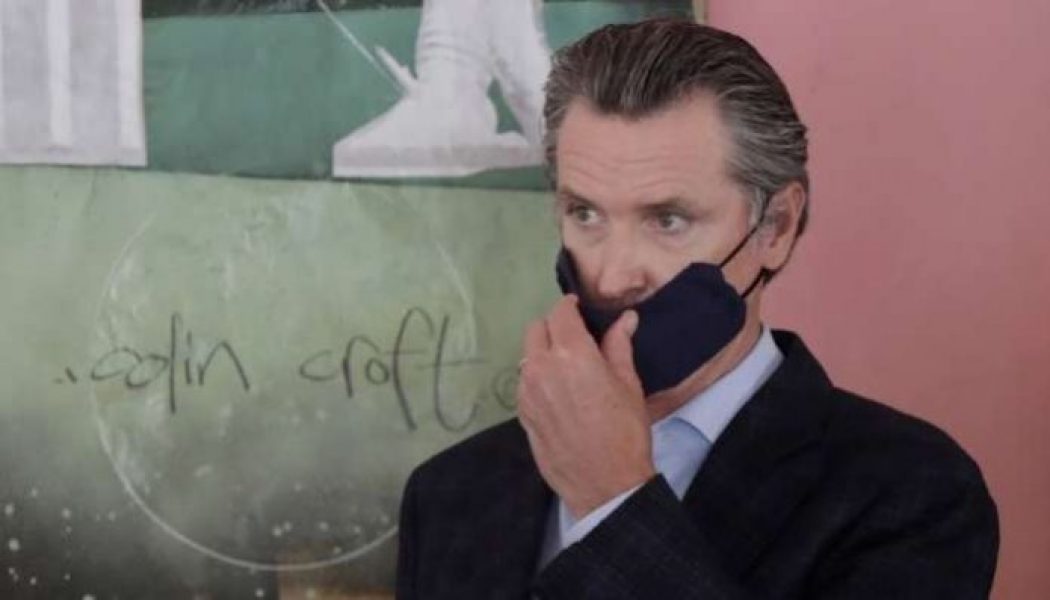 California vows to ban sale of new petrol vehicles in 2035