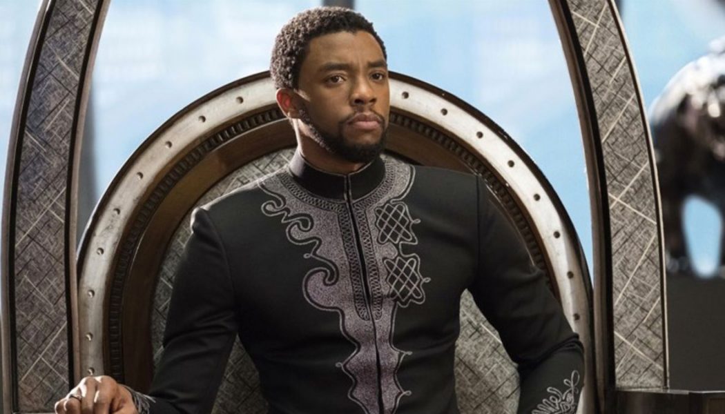 Chadwick Boseman Didn’t Tell Marvel He Was Sick, Planned on Filming Black Panther 2