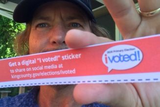 Eddie Vedder Joins Instagram to Teach People How to Vote By Mail