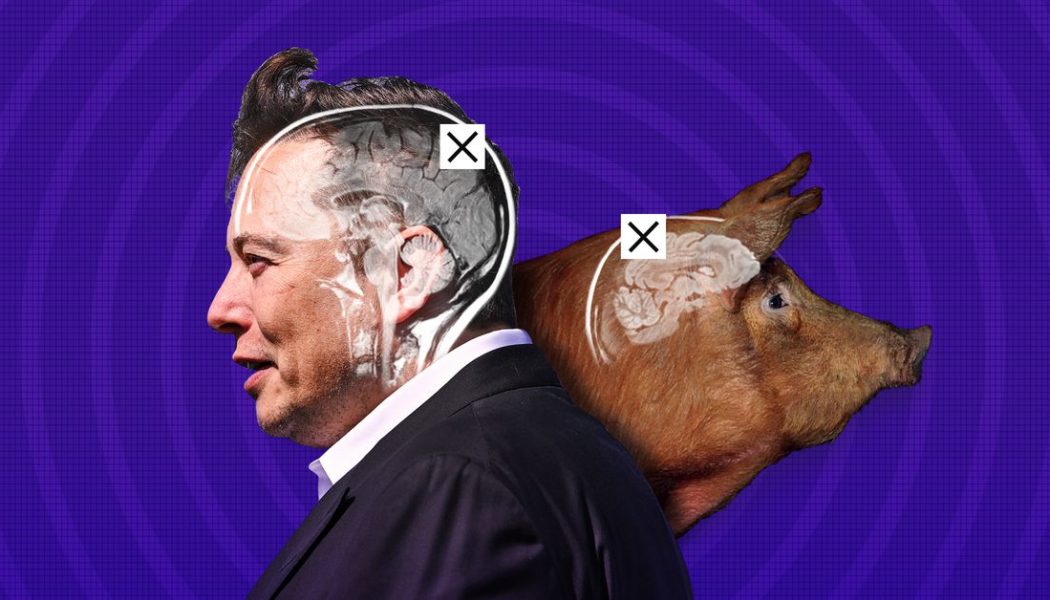 Elon Musk’s Neuralink: what’s science and what’s not