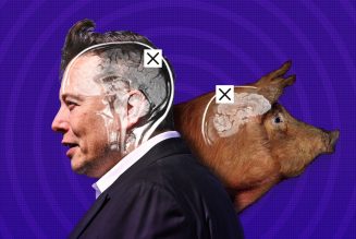 Elon Musk’s Neuralink: what’s science and what’s not