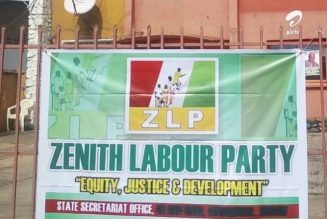 Enugu Assembly by-election: Casmir Nnadi emerges ZLP candidate