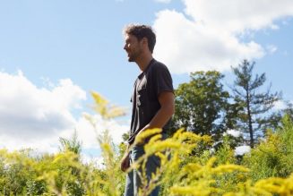 Fleet Foxes’ Shore Comes as a Soul-Soothing Surprise: Review