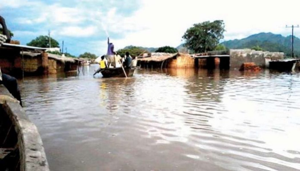 Flood: Nigerian government to build walls round River Kaduna