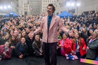Harry Styles Online Fan Merch Is Thriving, As Long As The Postal Service Is