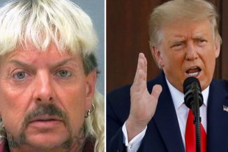 Joe Exotic Begs for Donald Trump to Pardon Him in 257-Page Letter
