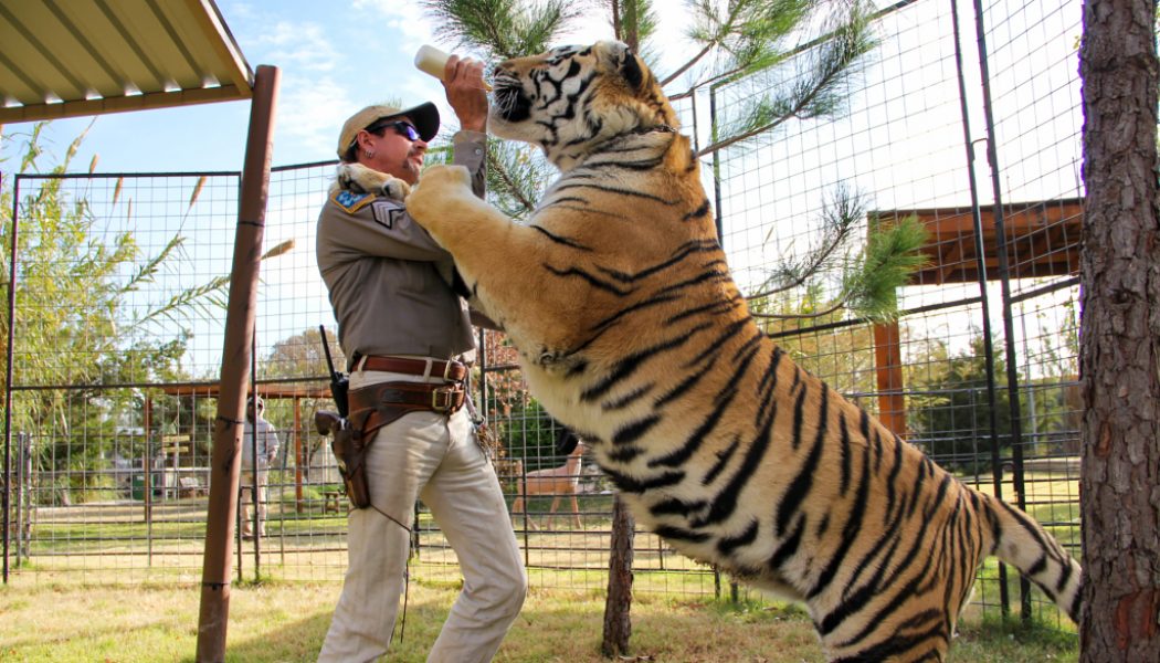 Joe Exotic Begs White Supremacist Donald Trump For A Pardon, Says He’s Been Violated In Prison