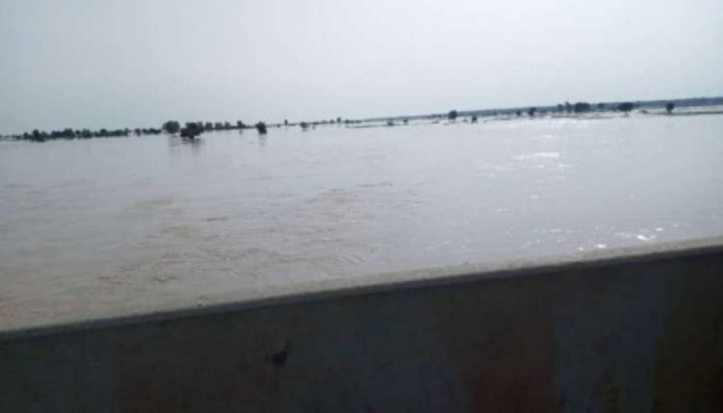 Kebbi floods: Nigeria-Niger Highway to be shut as government relocates citizens