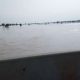 Kebbi floods: Nigeria-Niger Highway to be shut as government relocates citizens