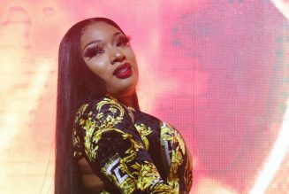 Megan Thee Stallion’s Adorable New Pup X Makes His Instagram Debut