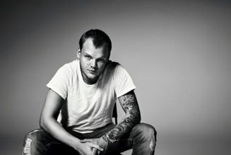 New Song Co-Written by Avicii to Be Released by Country Artist Cam