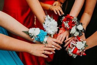 Plants and Animals Share Origins of New Song “Le Queens”: Stream