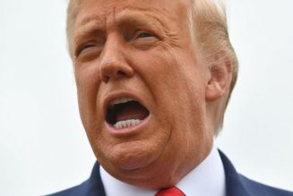 President Donald Trump Compares Cop Who Shot Jacob Blake To A Bad Golfer