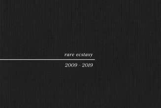 Pure X Announce New Album Rare Ecstasy 2009-2019, Share Willie Nelson Cover: Stream