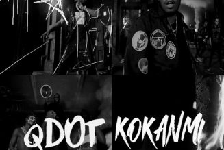 Qdot – Kokanmi