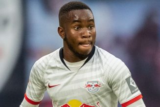 Report: Fulham to sign 22-year-old attacker on loan from Bundesliga giants