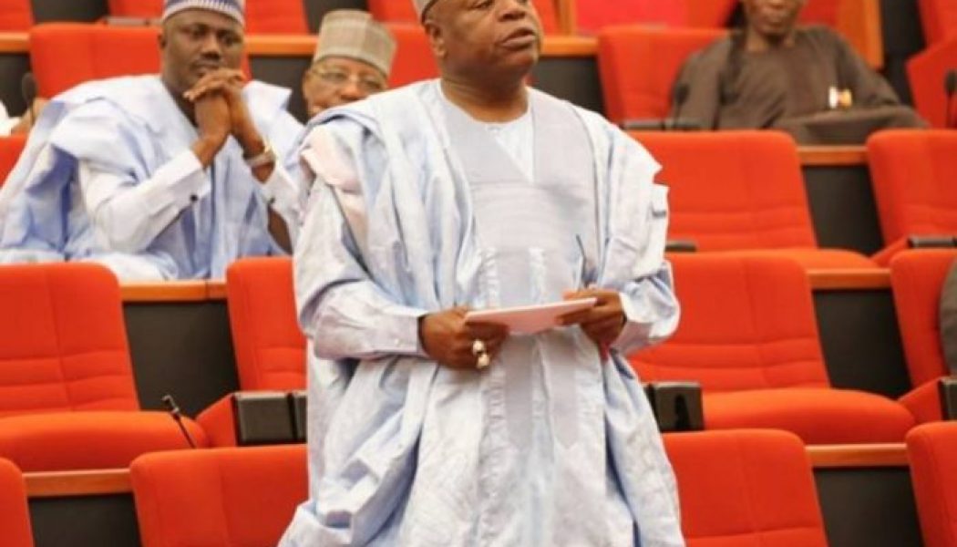 Senator wants Nigerian government to give priority to mental health