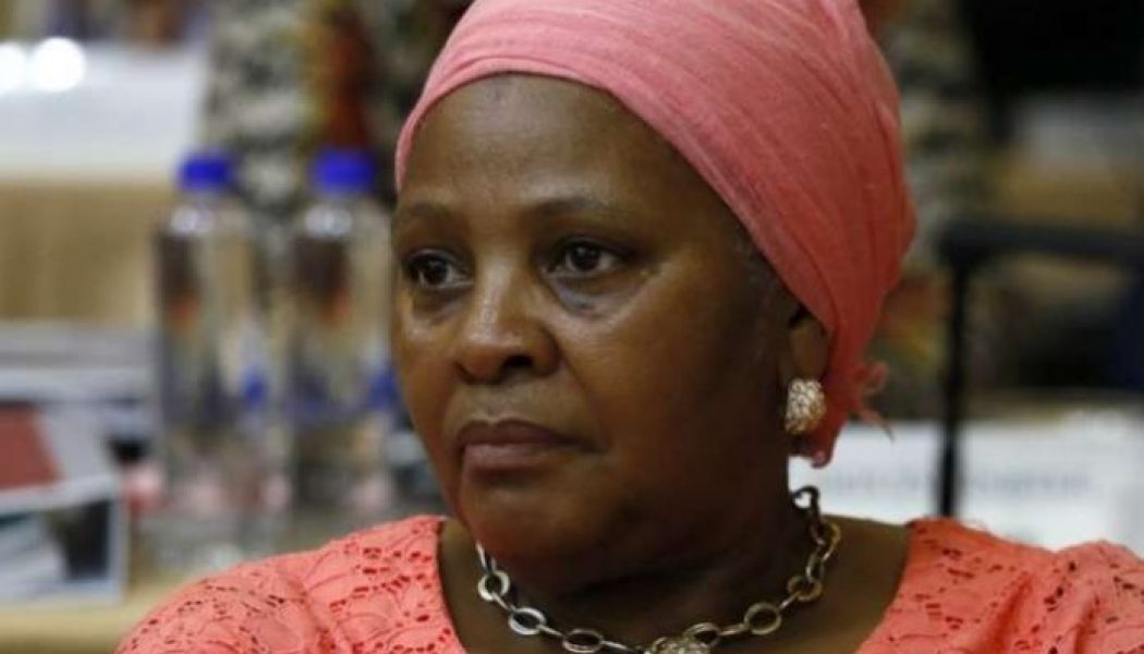 South Africa minister reprimanded for party’s trip on airforce jet