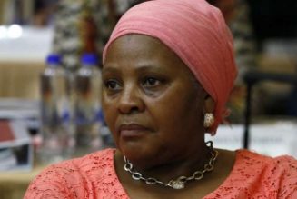 South Africa minister reprimanded for party’s trip on airforce jet