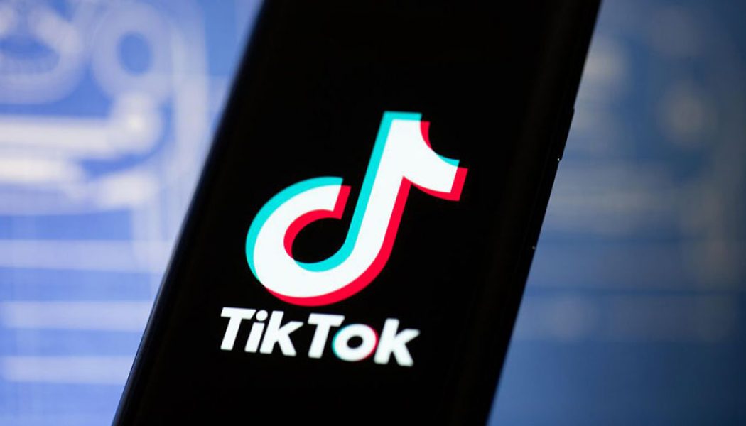 US Federal Court Delays TikTok Ban