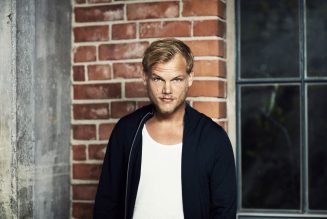 What’s Your Favorite Avicii Song of All Time? Vote!